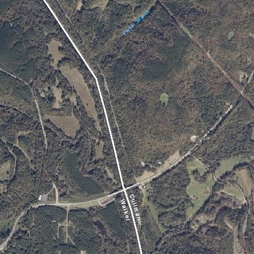 Tree down blocking Highway 69 in Jasper