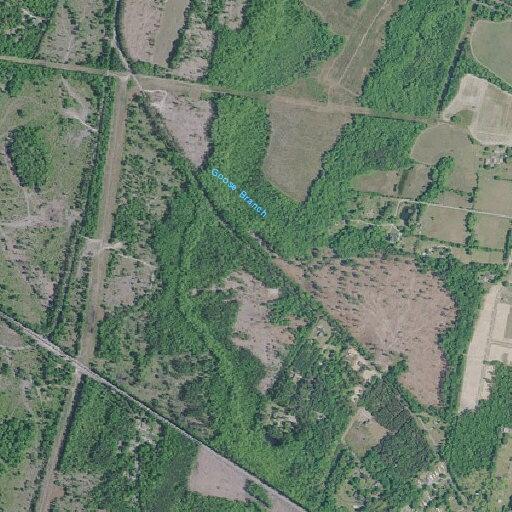 Person vomiting on Webb Road in Hopkins