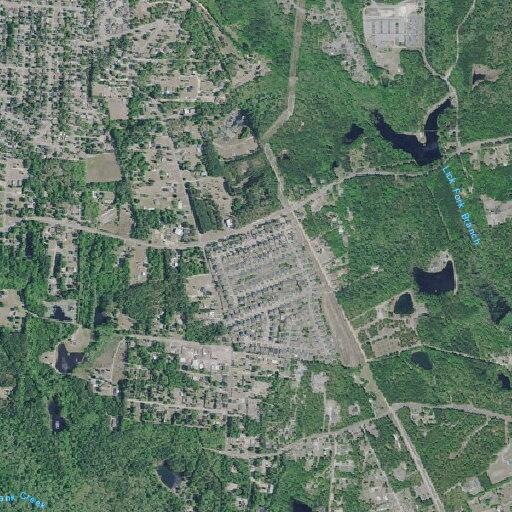 Person reporting chest pain at Maxwell and Breaker Lane