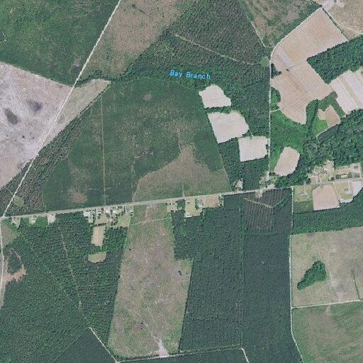 Man with chest pain reported near Bass Road in Pamplico