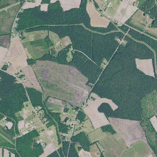 Bamboo fire reported on North Mathews Road