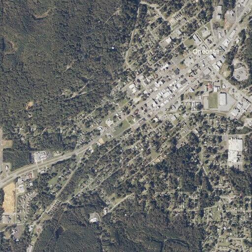 Man having chest pains and breathing difficulty in Oneonta