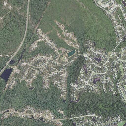 Person found unconscious near Shady Pine Cir