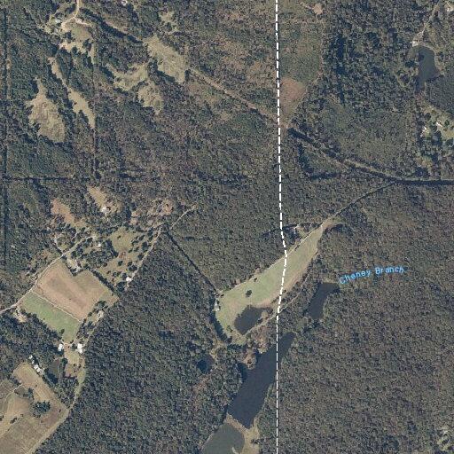 Tree down on power lines near Sawyer Mountain Road