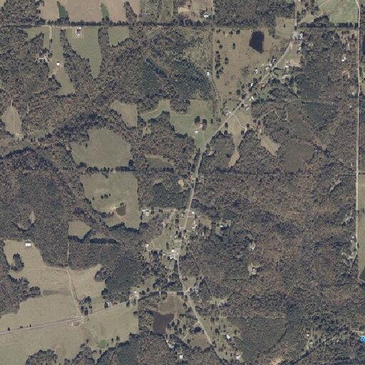 Tree blocks County Road 54 in Bremen