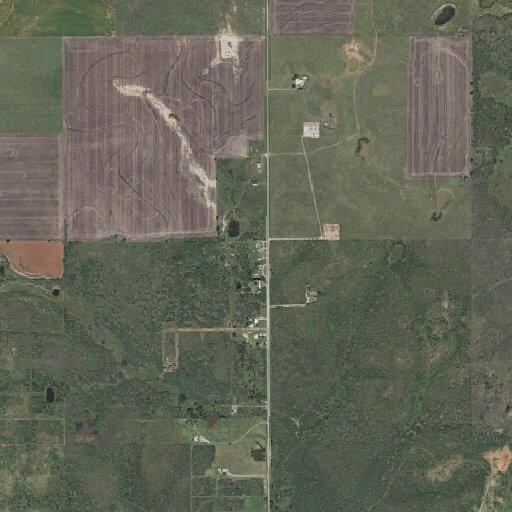 Cow loose in roadway on FM 368 near Iowa Park