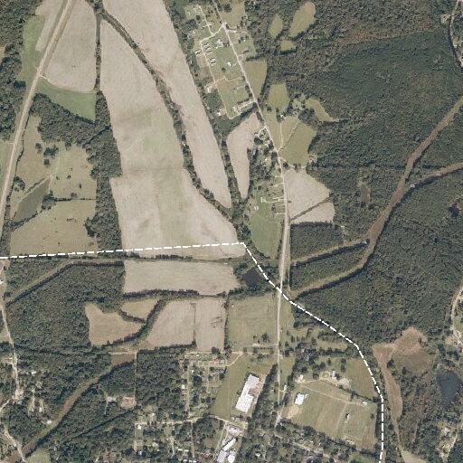 Cows blocking Highway 330 near Coffeeville