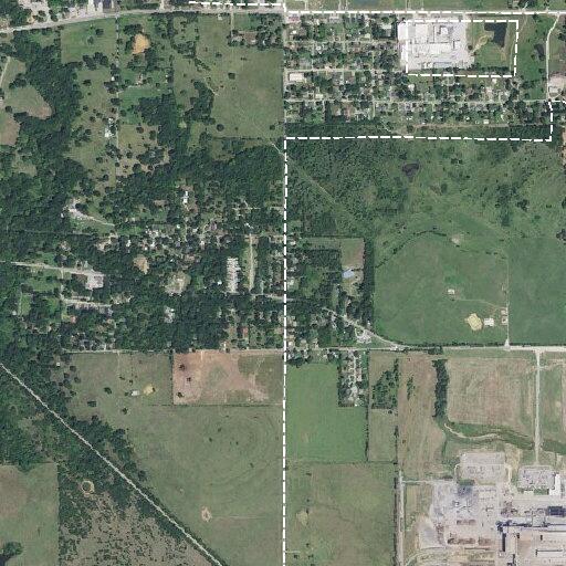 Resident reports aggressive dogs at Durant home