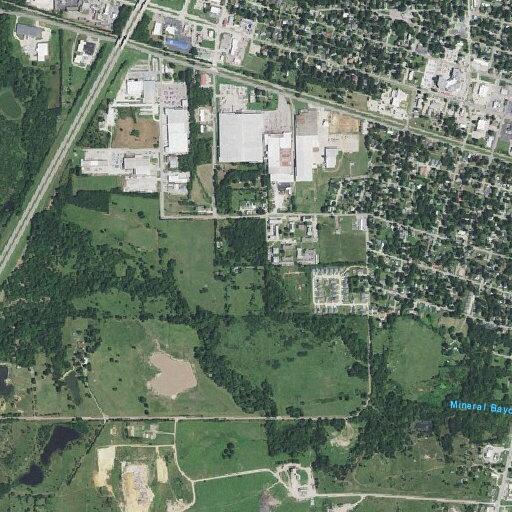 Suspicious person with dogs seen near woods