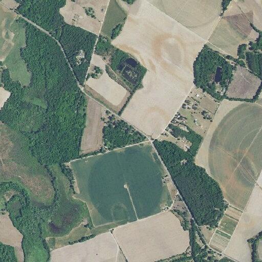 Woman with left-side pain at Page Dairy Road