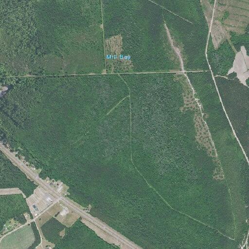 91-year-old woman with hypertension at S Hwy 501
