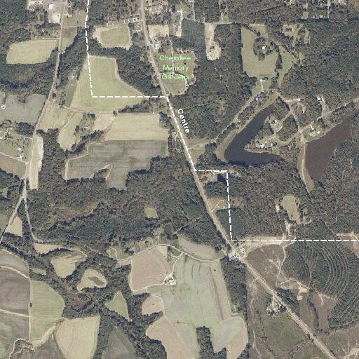 Tree blocking Alabama Highway 9 near grocery