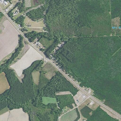 64-year-old woman with pain after fall at highway address
