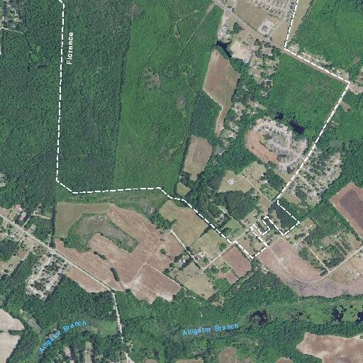 87-year-old man unresponsive and vomiting in Effingham