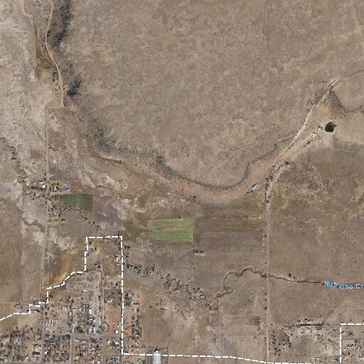 Man running nude near children in Springerville