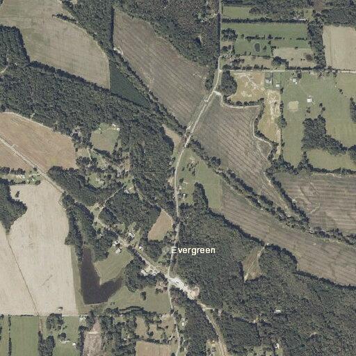 86-year-old male found unresponsive at Carolina Road