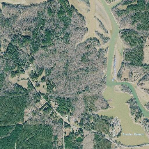 Elderly woman falls near Black's Bluff Road, reports rib and hip pain