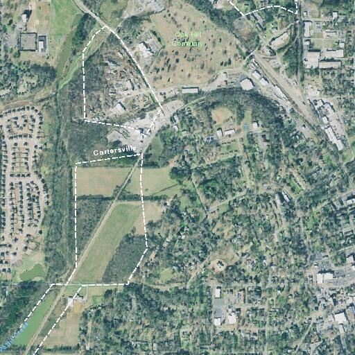 Female having psychological outburst near Walford Street in Cartersville