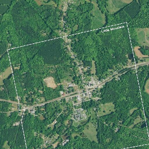 Person with possible loss of consciousness near Little Mountain