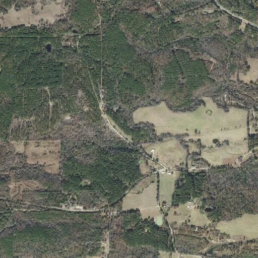 90-year-old man falls near Pittman Road