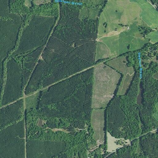 Seizure reported near Bowles Road in Newberry County