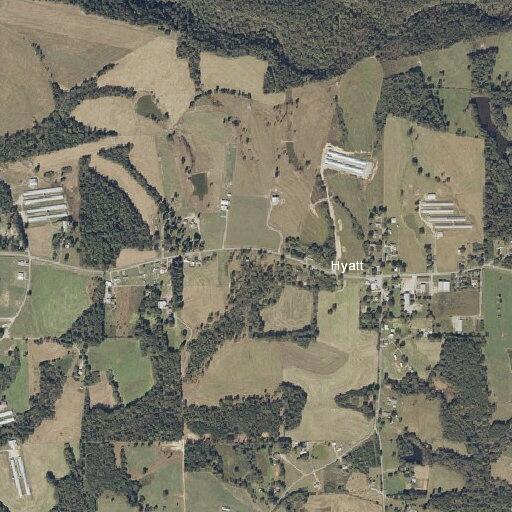 Elderly woman dizzy and shivering at Nixon Chapel Rd
