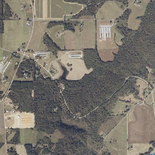 Motorist nearly hits tree on Alabama Highway 227