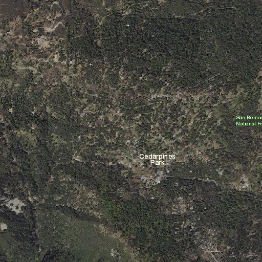 Illegal burn reported on Crest Forest Drive