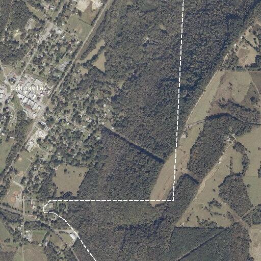 Single-vehicle rollover on County Road 22