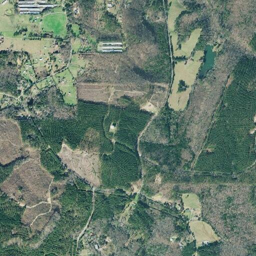Female found unresponsive near blue car on Cedar Creek Rd