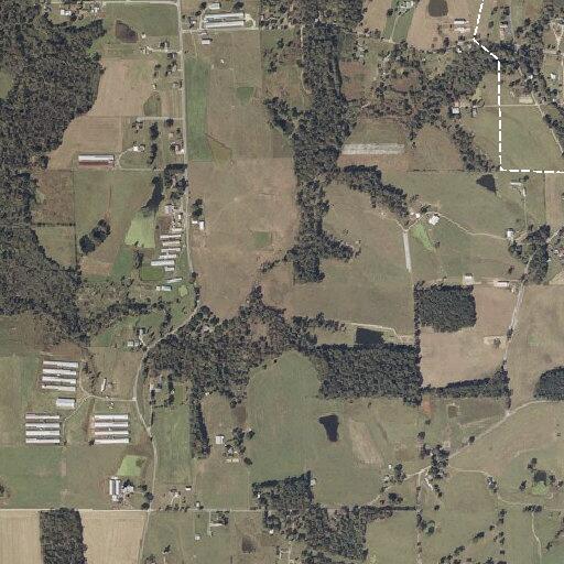 89-year-old male possibly having a stroke in Geraldine