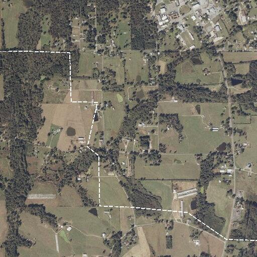 Elderly female requires left side assistance in Geraldine
