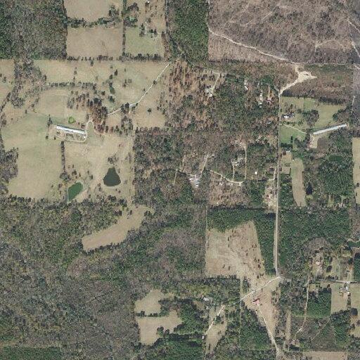 Woman found unconscious in ditch walks into woods