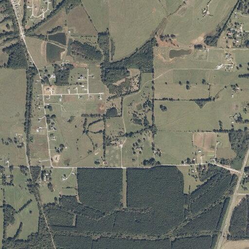 Tree on fire on County Road 96 in New Albany