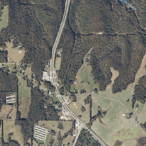 19-year-old female with altered mental status by highway