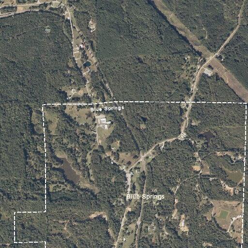 Carbon monoxide alarm near County Road (number withheld) in Blue Springs