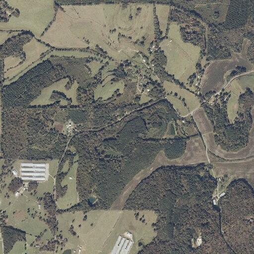 85-year-old woman with chest heaviness at Gaylesville