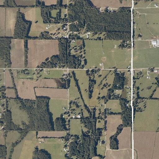 Toddler found walking in road near Blue Springs