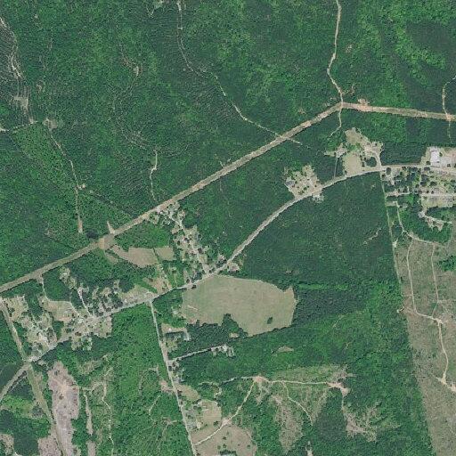 Son reports assault by mother near Old Airport Road