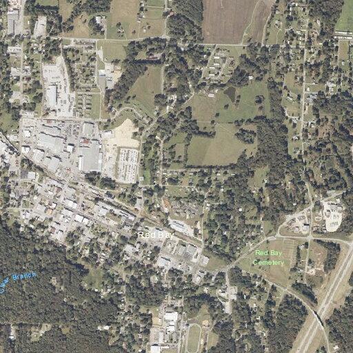 Runaway juvenile possibly walking from Red Bay to Golden