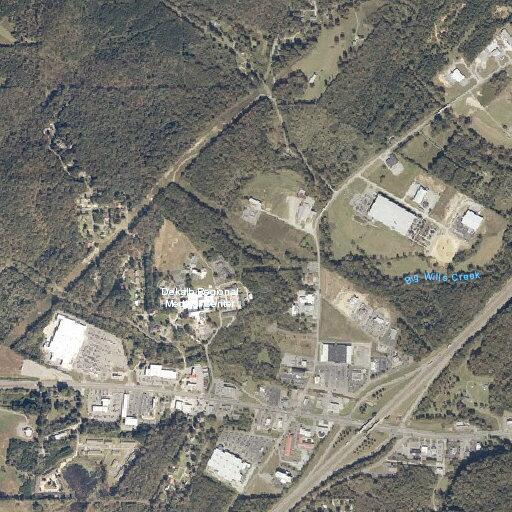 Female patient having seizures near Fort Payne