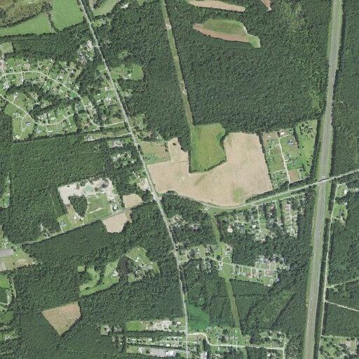 Car hits deer on US 117 near Newells Hollow