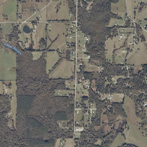 Juvenile interference reported near County Road 333