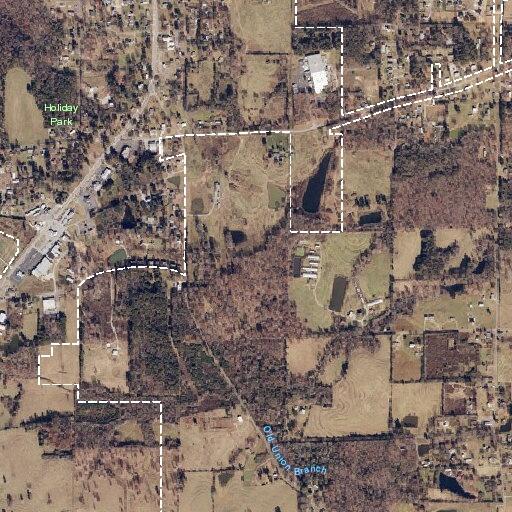 Tree blocks roadway on Welcome Home Drive