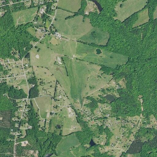 Person with altered consciousness near Giggle Drive in Laurens