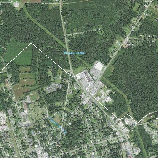 Person reported to have fallen at North McNeil Street