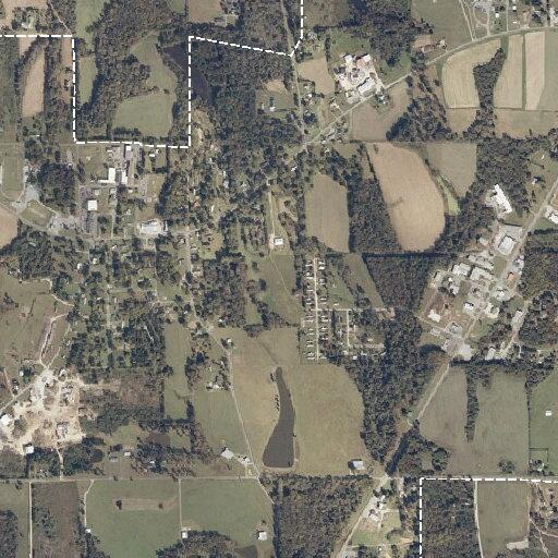 Person bitten by animal near Main Street South