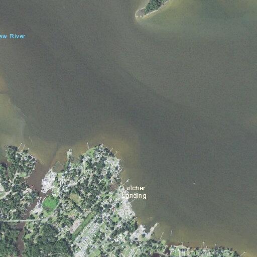 Female yelling for man in woods near campground with knives