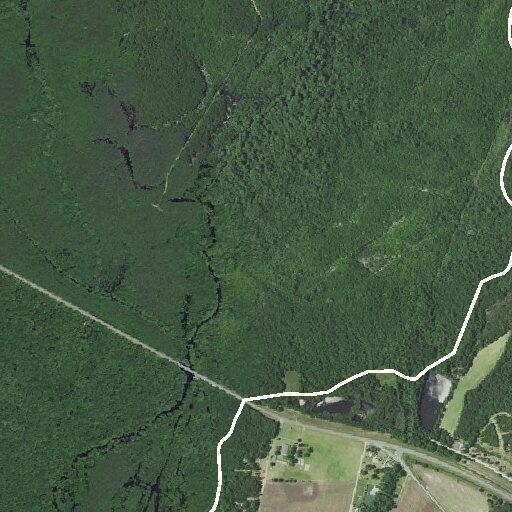 Large wildland fire reported along NC Highway 211 in Robeson County