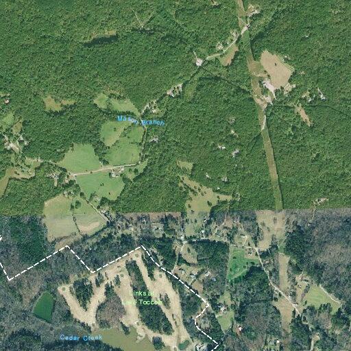 Allergic reaction reported near Black Mountain Road in Toccoa